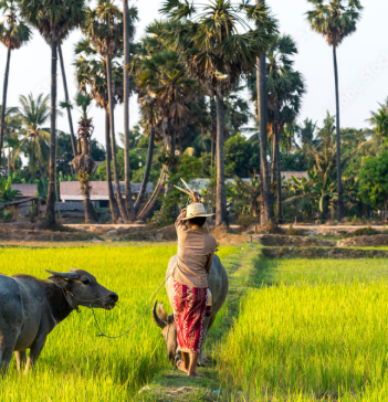 写真：海外の様子