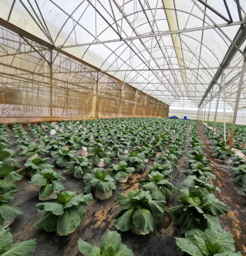 写真：海外事業の様子