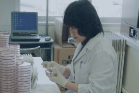 写真：働く人の様子