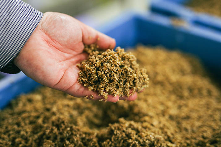 写真：M社インタビューの様子